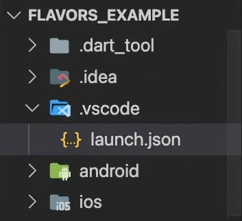 .vscode/launch.json